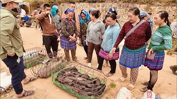 Chợ Phiên Cán Cấu | Ẩm Thực, Sắc Màu Văn Hoá Vùng Cao Tây Bắc