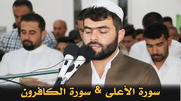 تلاوة جميلة لسورة الأعلى و الكافرون للقارئ بيشةوا قادر الكردى #رمضان_2019