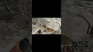 🚫🐾 Epic Deer Hunting Fail! 😂🍂 Watch till the end for the funniest blooper in the woods! Can't
