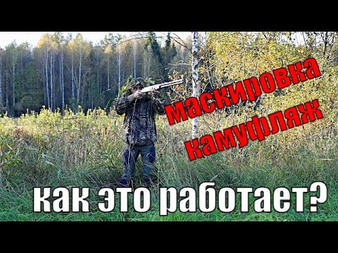 Видео: Искусство маскировки и умение быть невидимым