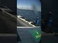 POV: you make a last second overtake in #SailGP #sailing #racing #overtake