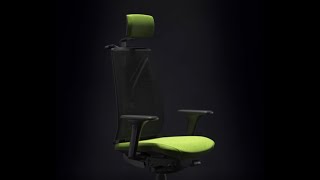 Scaune Ergonomice Cronos