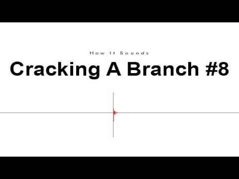 Cracking A Branch #8 Sound Effect