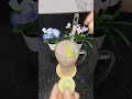 Cinderella Mocktail Recipe#MocktailReci#SummerDrinks #Manjulabujji#HealthyDrinks #RefreshingMocktail