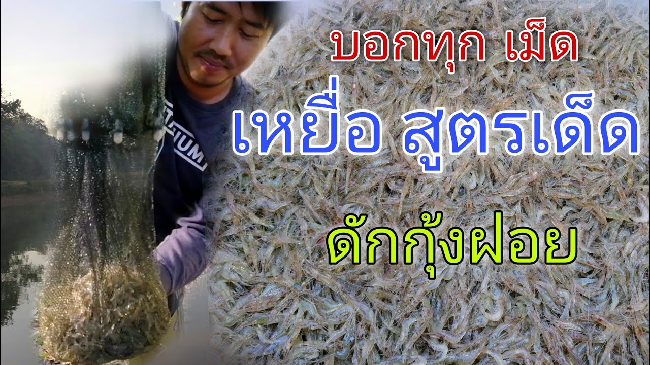 EP.27 สูตรดักกุ้ง ให้ได้ตัวเยอะๆ