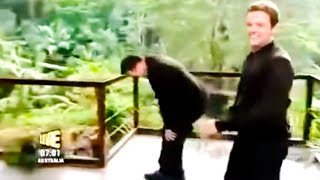 Dec Nearly Slips Over Bridge On I’m A Celeb  #sexy  #celeb  #slips