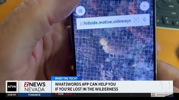 What the Tech: App of the Day