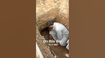 نَفْسٍ ذَائِقَةُ الْمَوْتِ ۖ ثُمَّ إِلَيْنَا تُرْجَعُونَ (57) (سورة العنكبوت) #birds #
