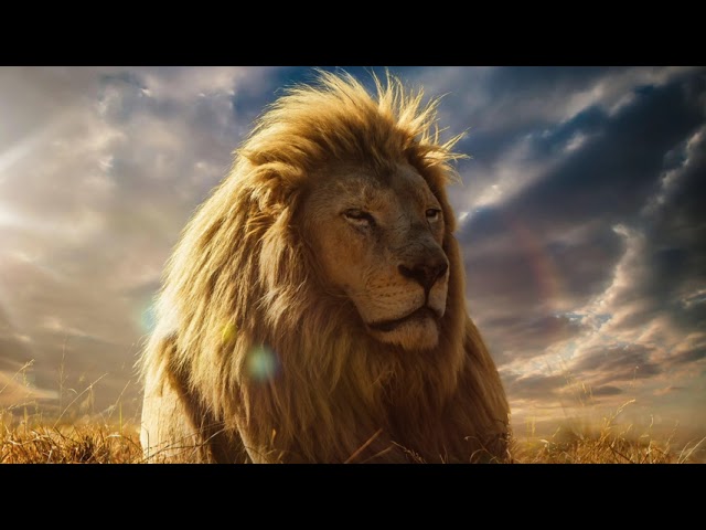 Fearless Motivation - Lion Attitude (Epic Music) class=