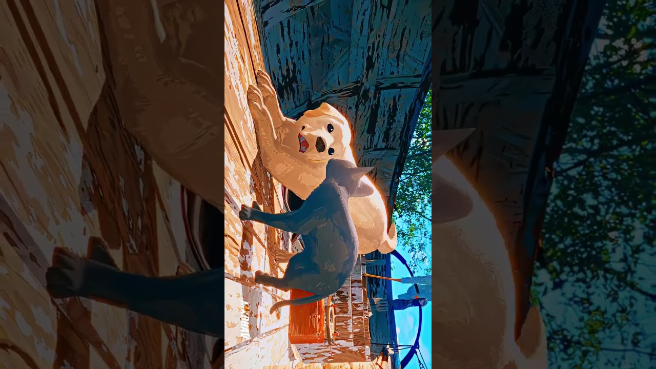 Cat😺 3D video #views