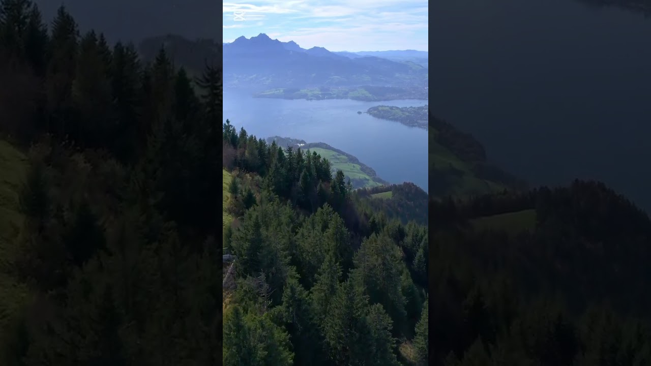 Attachment Styles and How They Affect Relationships