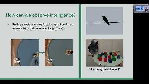 Reasoning-learning systems based on Non Axiomatic Reasoning Theory with Dr Patrick Hammer