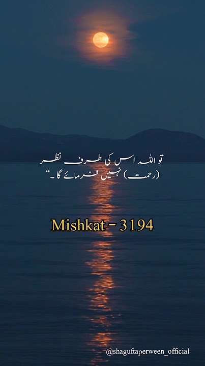 Anal sex islam me haram hai 🔥 | Hadees in Urdu#shorts#shortsfeed#ytshorts#analsex