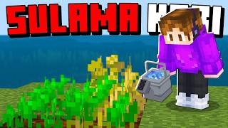 Minecrafta İşe Yarar Eşyalar Ekledi̇m Aphernix Minecraft Bedrock