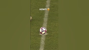 He really did that! 🔥 #mls #soccer #football #futbol #sanjose