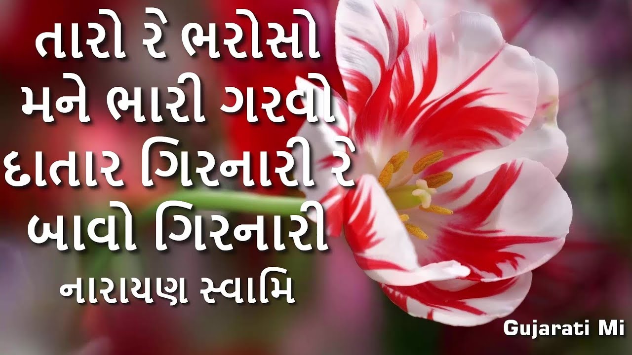 Taro Re Bharoso Mane Bhari Girnari Re Bavo Girnari Narayan Swami Bhajan   Gujarati Mi