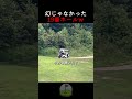 19番ホールは存在した。