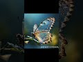 तितली अपने पैरों से Taste लेती है! | Unbelievable Butterfly Fact