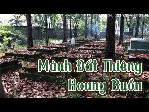 Video Mảnh đất thiêng hoang buồn - Nghĩa trang quân đội Biên... - youtube