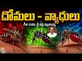 Eliminate Mosquitoes, Protect Your Family 🏡🦟 | Health Awareness Song