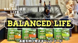 本能を呼び覚ます【BALANCED LIFE】