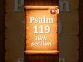 詩篇 119篇 | 第16節 | 音声視聴と朗読 | 聖書の一節