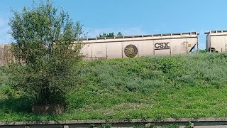 Big CSX Stack Train Live Streaming