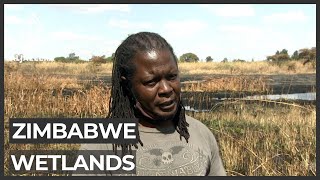 Zimbabwe wetlands construction triggers conservation worries