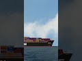 The Efficiency Of Cargo Ships