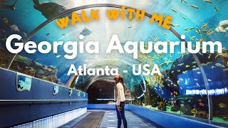 Georgia Aquarium  - Altanta