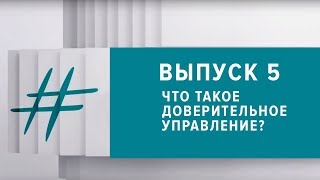 #Деньги |Выпуск 5 |Что такое доверительное управление?