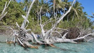 忍び寄る水没の危機 ツバル、浸食で失われる国土