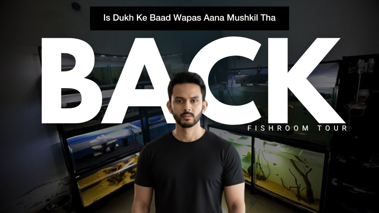 I’m Back… Fish Room Tour 2026 - Imran’s World