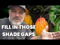 10 Shade-loving Plants You Can Eat