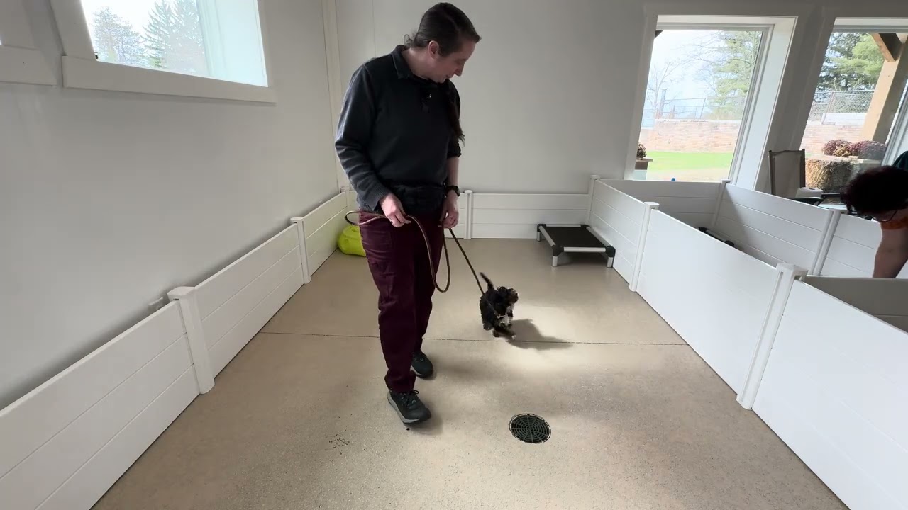 Alfie Training Session 03/04