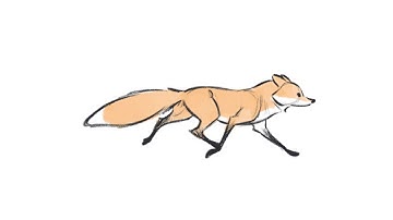 #LightBoxExpo Live Stream - 4 Legged Animation