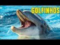 GOLFINHOS: Os Seres Encantadores do Mar | Inteligência nos Oceanos