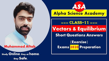 Physics Chapter 2 Vectors and Equilibrium Exercise Short Questions Answers