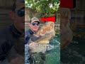 Wild Animal Moments No One Was Ready For