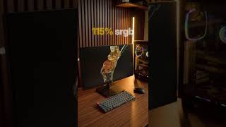 Titan Army P2510H Plus is a budget-friendly 24.5-inch gaming monitor