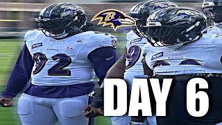 Baltimore Ravens PADDED PRACTICE @ Training Camp DAY 6 HIGHLIGHTS: Dline & Oline GETTING ACCLIMATED!