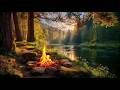 Forest River Campfire Sun Rays Flowing Water Deep Relaxing Nature Sounds Forest River Campfire Sun Rays Flowing Water Deep Relaxing Nature Sounds