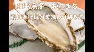 殻付き牡蠣の美味しい剥き方（三重県産　桃こまち）