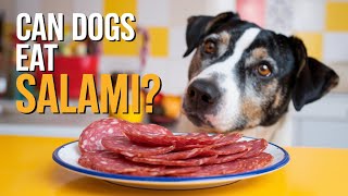 Can Dogs Eat Salami  The Truth Revealed!