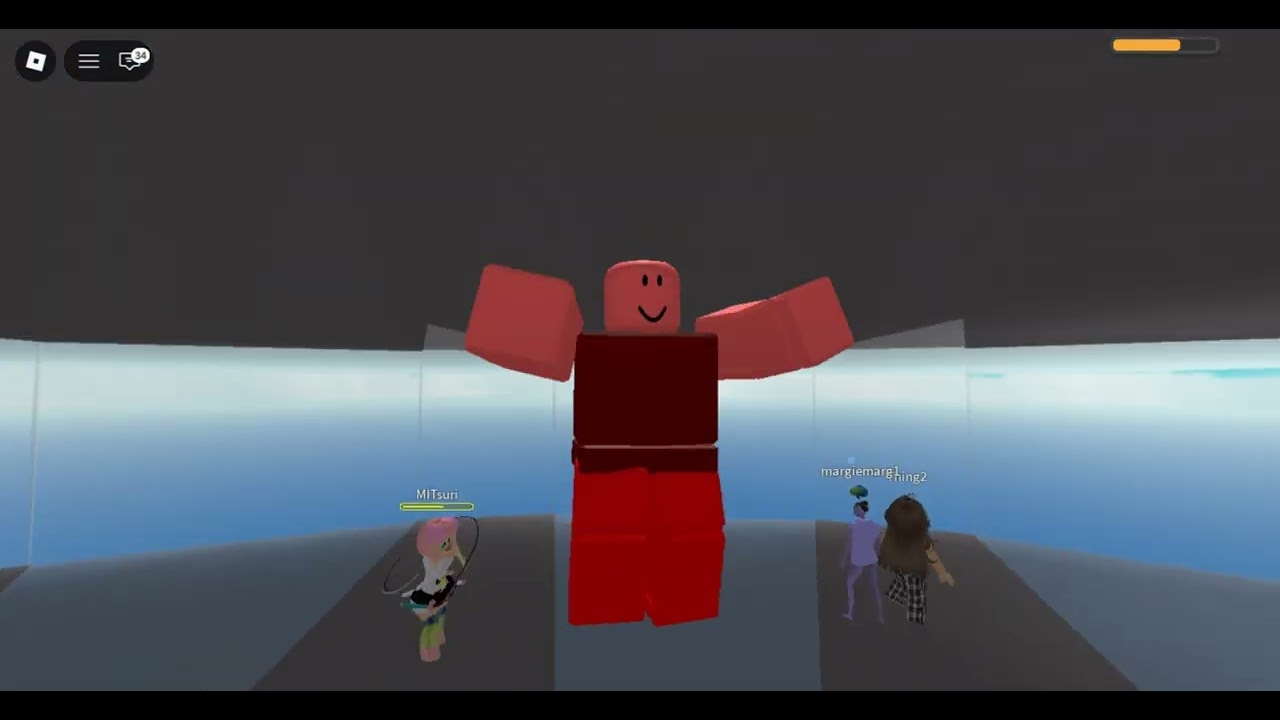 playing natural disaster survival