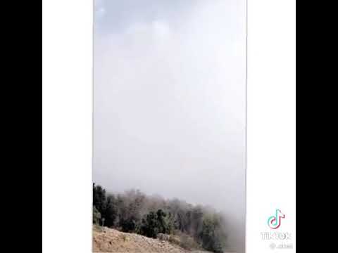 عبدالله ال فروان تسالني عن ضحكة سني 