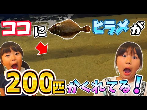 【鳥取旅行2日目】雨でも楽しめる鳥取観光！