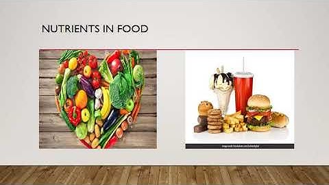 Class 4 Science Ch- 5 Our food and its digestion Part 1