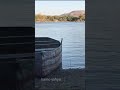 عباس عثمان شامة وو شامة عباس عثمان شامة وو شامة