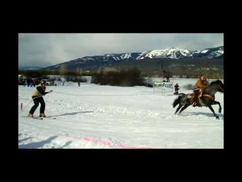 Skijoring - www.iVideoMarket...